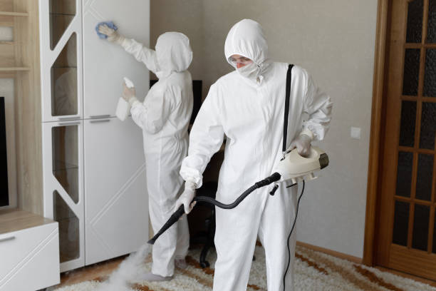 Best Commercial Mold Remediation in North Branch, MN